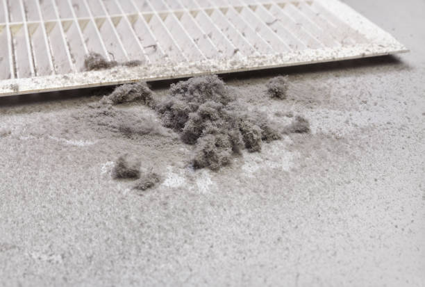 Best Residential Air Duct Cleaning  in Middle Island, NY